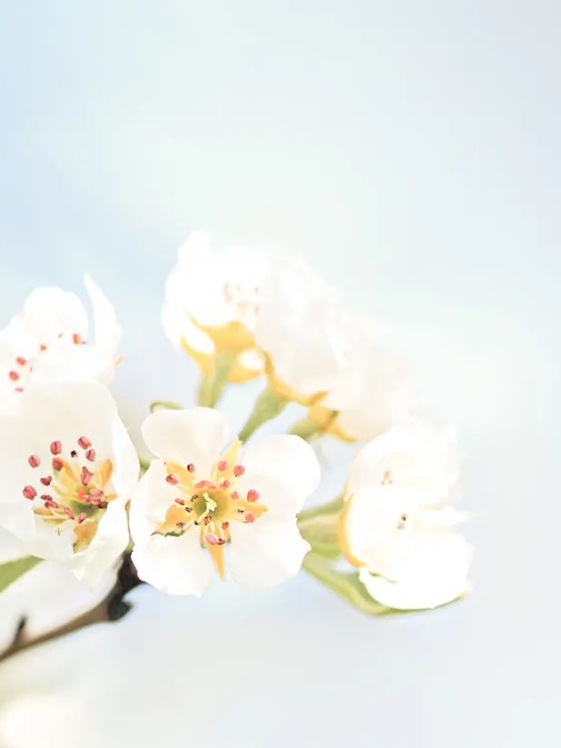 家裝 | 窗戶漏水，堵上就行嗎？